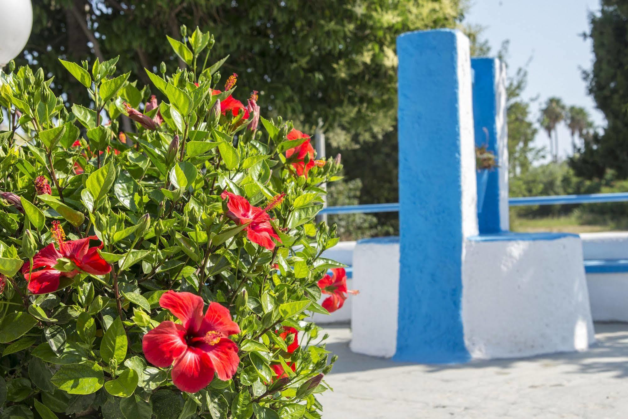 Yiannis Yard Studios & Apartments Città di Kos Esterno foto