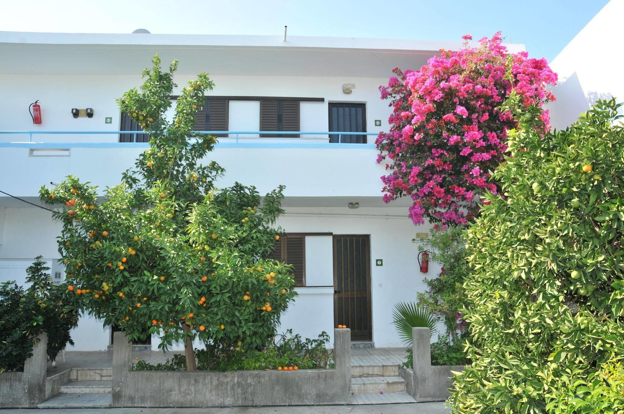 Yiannis Yard Studios & Apartments Città di Kos Esterno foto
